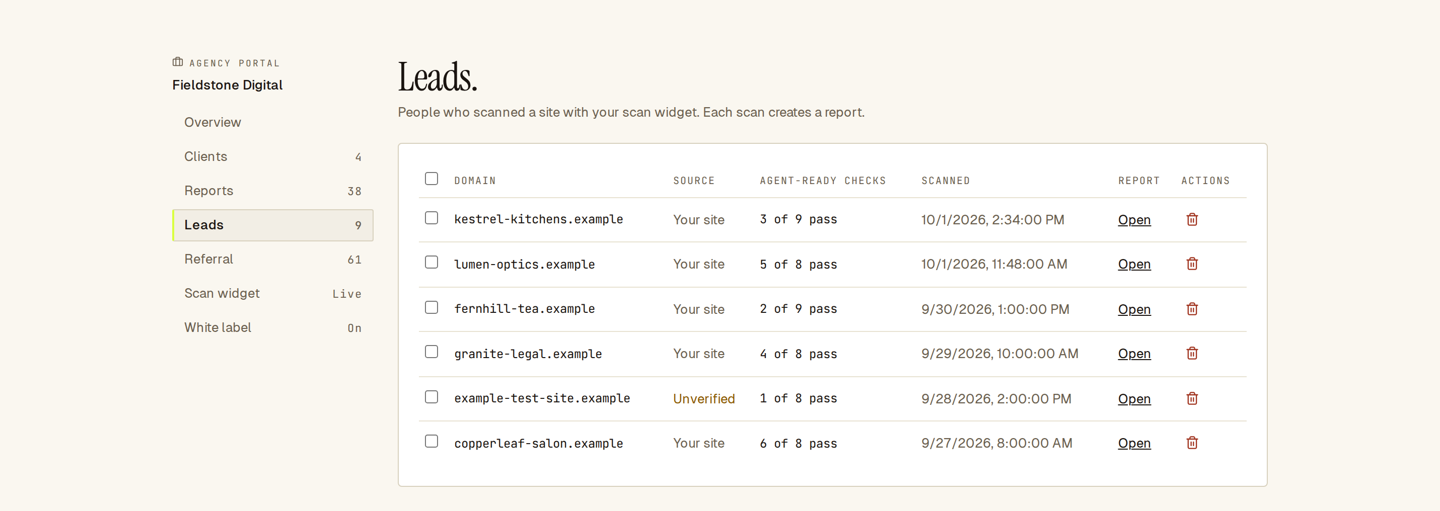 Leads list with six scanned domains, their checks passed, scan time and report links